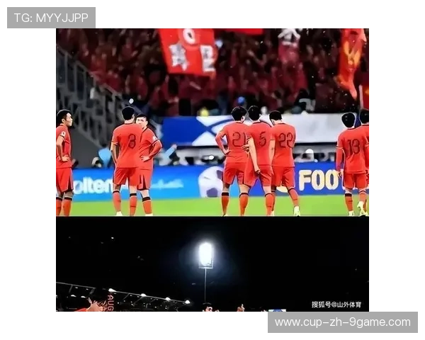 球迷自制短片：最感人、最激动人心的现场瞬间，球迷段子